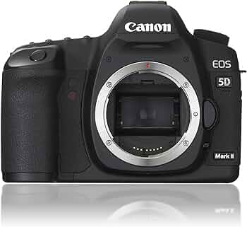 81zqEUL1B1L._AC_UF350,