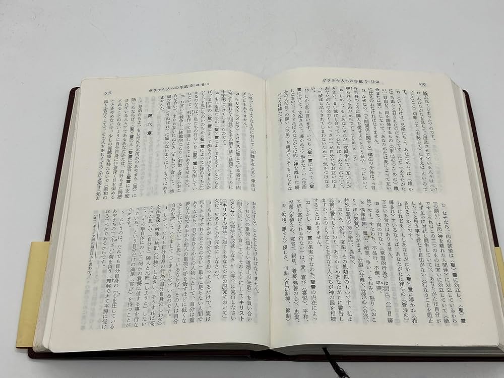 詳訳聖書 |本 | 通販 | Amazon