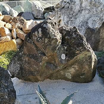 Amazon.co.jp: 鳥海石408キロ庭石鑑賞石石盆石水石灯籠庭坪庭盆栽