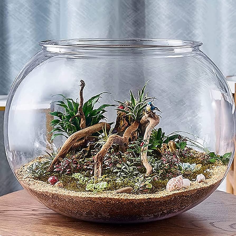 Amazon | 金魚鉢 丸型金魚鉢 ガラス容器 観葉植物 インテリア 容器