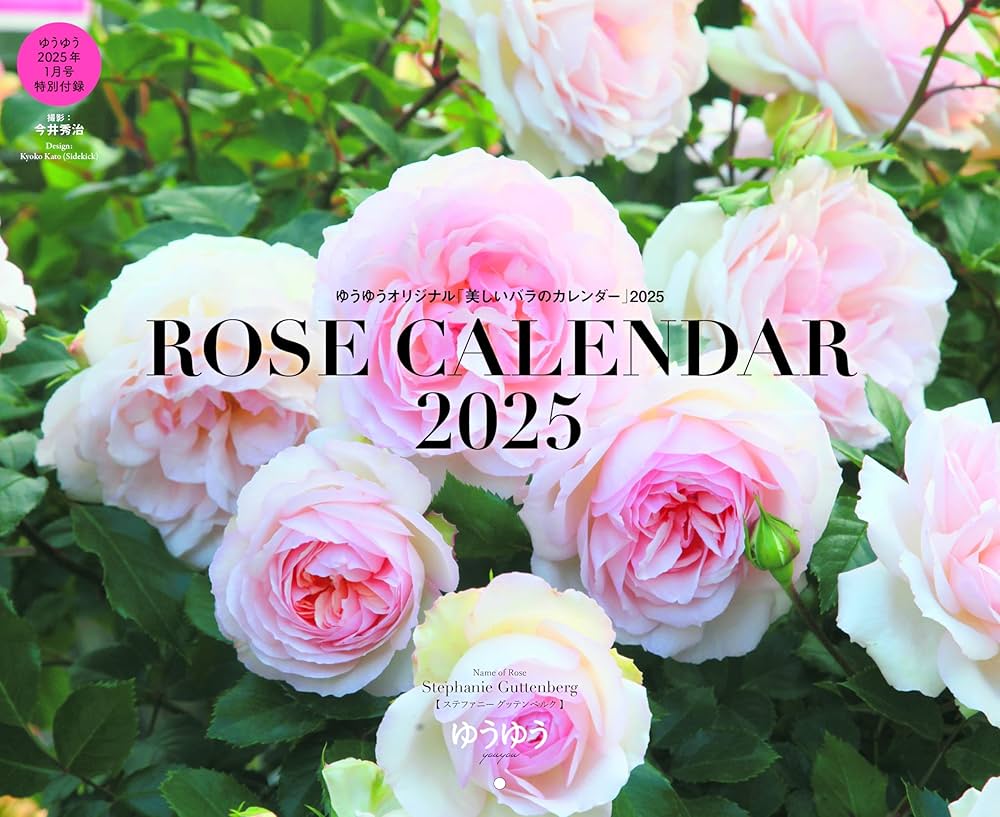 ゆうゆう 2025年 01 月号 | ゆうゆう編集部 |本 | 通販 | Amazon