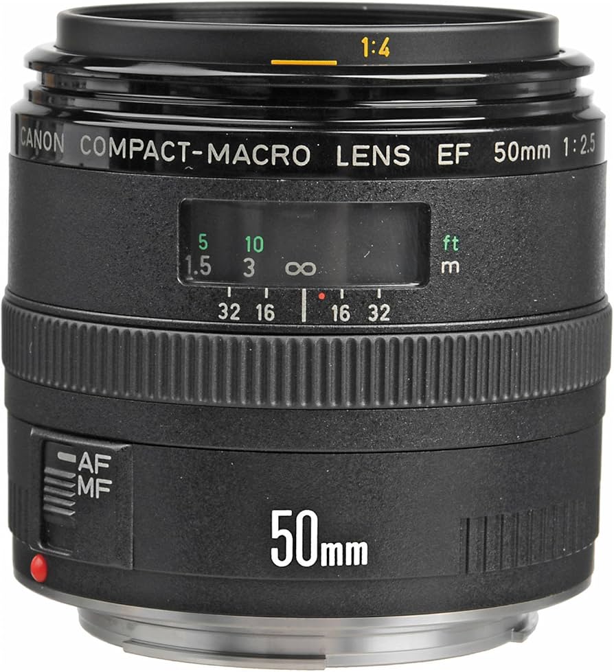 Canon EF 50mm f/2.5 Compact Macro Lens : Amazon.ca: Electronics