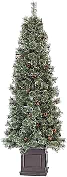 81BfJZ1zJtL._AC_UF350,