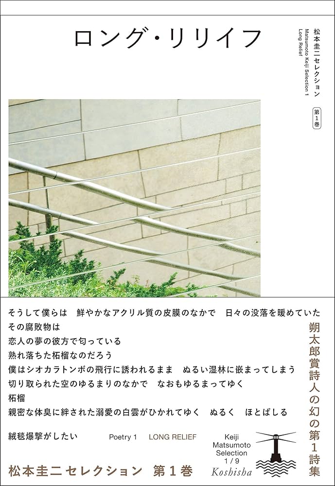 Amazon.co.jp: ロング・リリイフ (松本圭二セレクション) : 松本 圭二