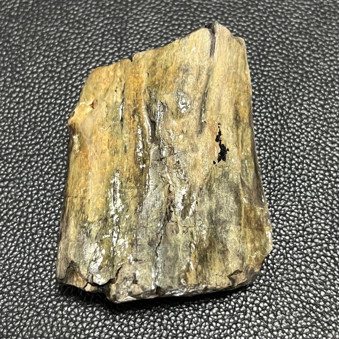 Amazon.co.jp: 珪化木 化石木 ペトリファイドウッド 福岡県産No.96