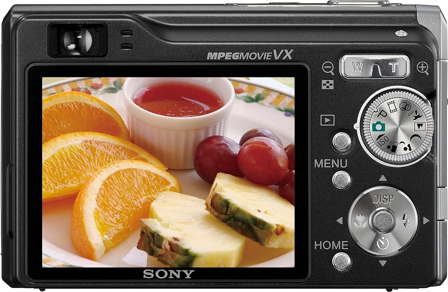 Amazon.com : Sony Cybershot DSCW90 8.1MP Digital Camera with 3x