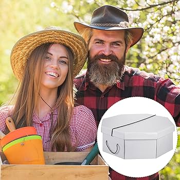 81Cl+BZgwvL._AC_UF350,