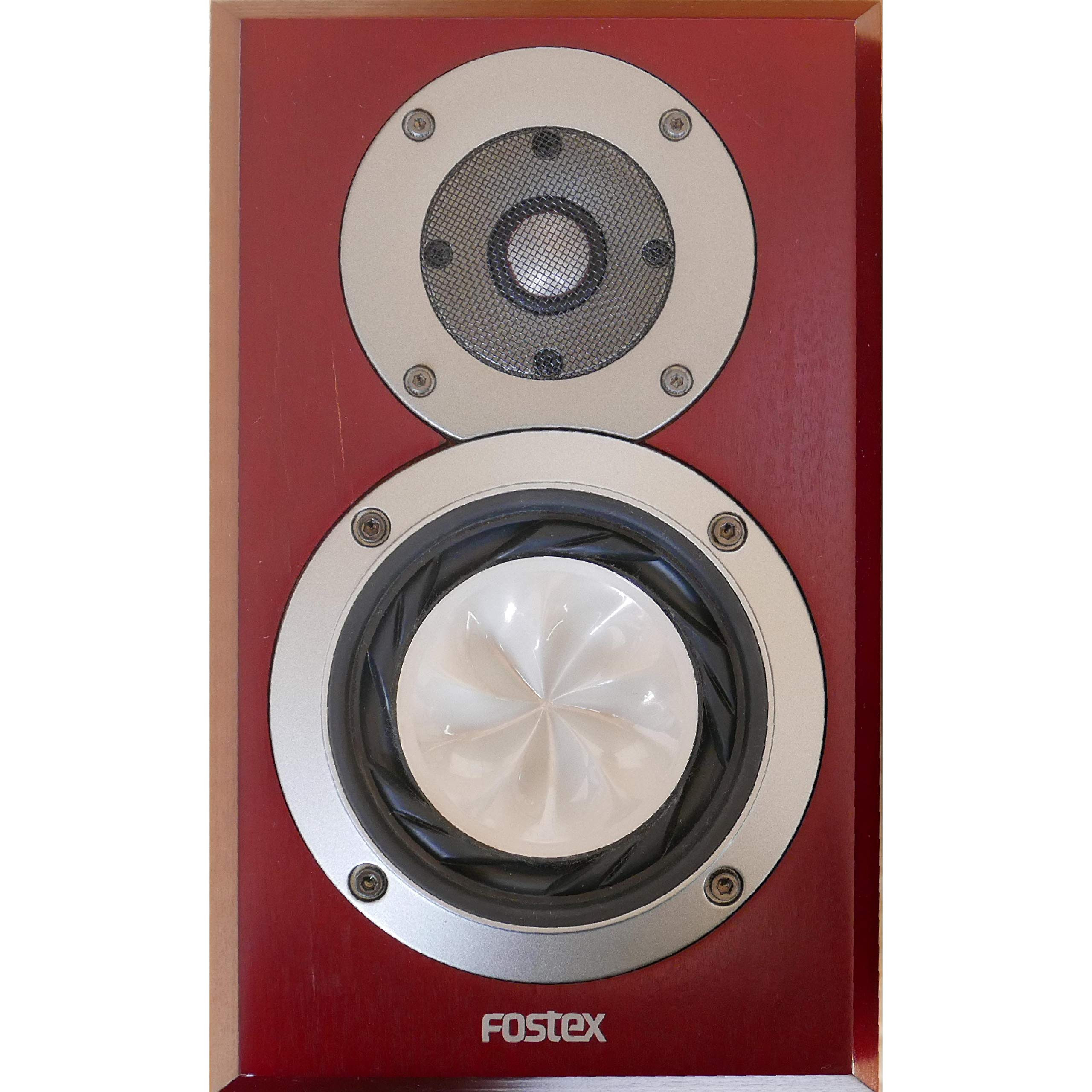 Amazon.co.jp: Fostex GX100 : 家電＆カメラ