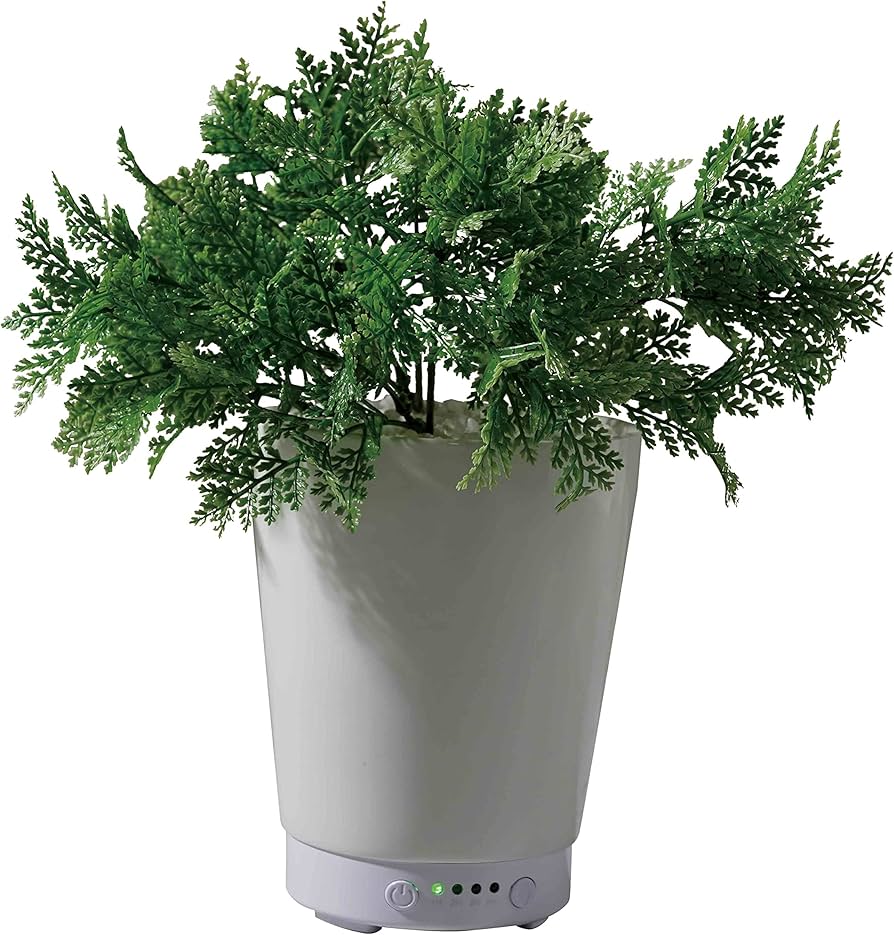 Amazon｜LITHON ライソン グリーンアロマミスト ファーン GREEN AROMA