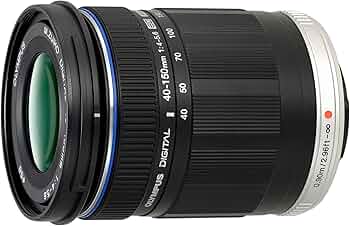 81DXTGJpf3L._AC_UF350,