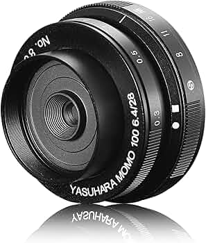 81DaHLSeq6L._AC_UF350,