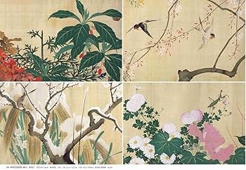 日本美術全集13 宗達・光琳と桂離宮 (日本美術全集(全20巻)) | 安村