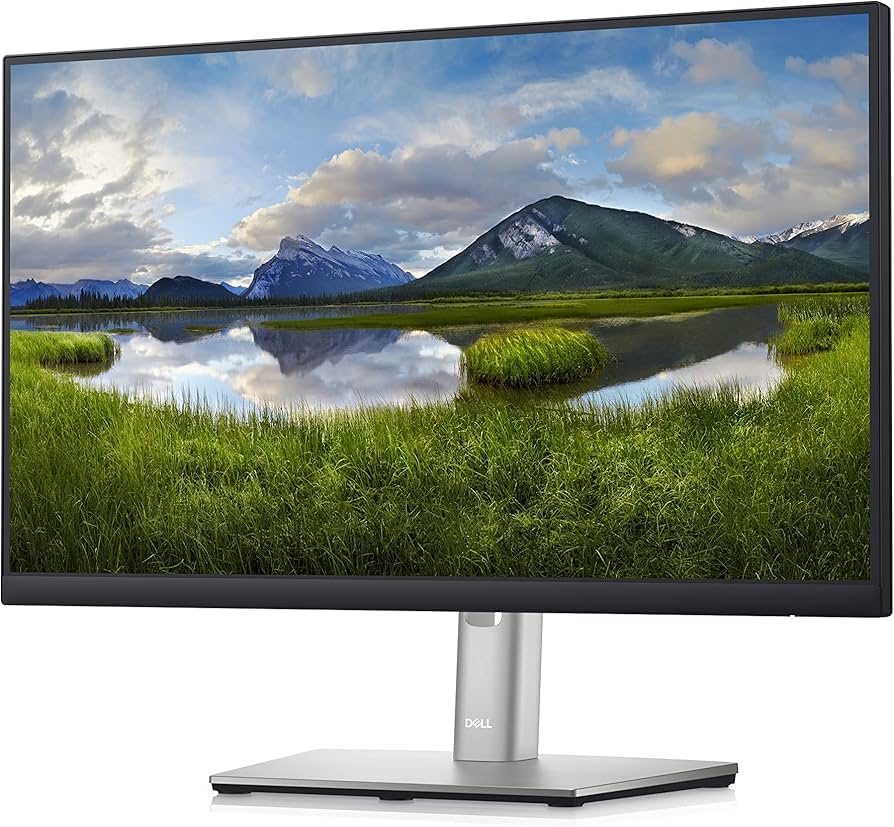 Amazon.com: Dell P2222H 21.5