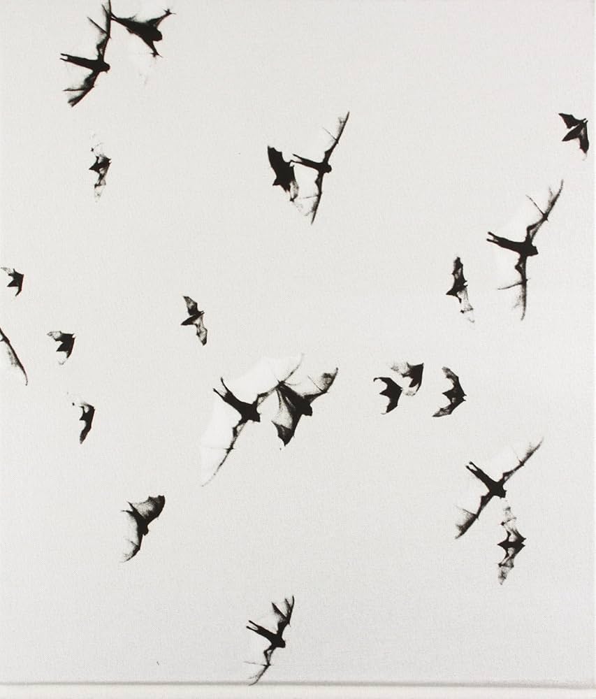 Trent Parke: Minutes to Midnight: Parke, Trent: 9783869302058