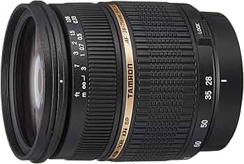 81E7dMbNcRL._AC_UF350,