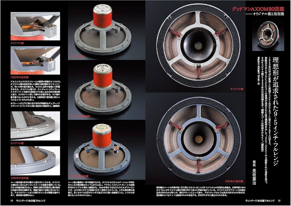 81EIGufTjIL._AC_UF1000,