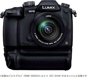 Amazon | パナソニック(Panasonic) DMW-BGGH5 LUMIX バッテリー