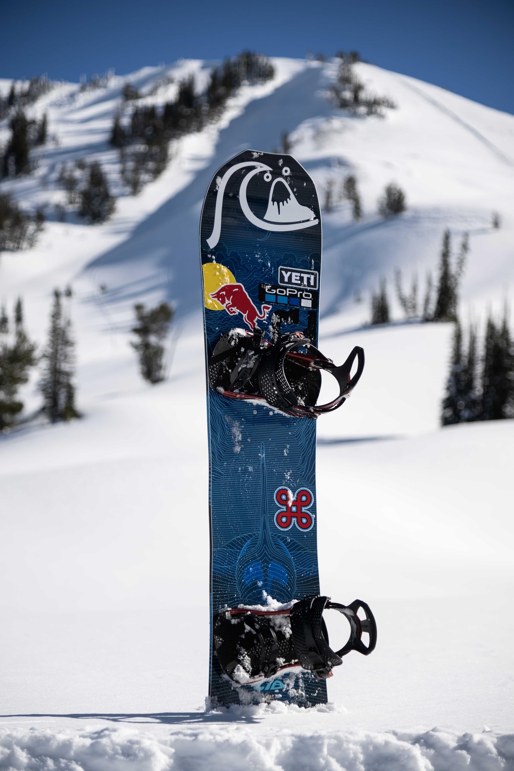 Amazon | Lib Tech Golden Orca メンズ スノーボード 153 | Lib Tech