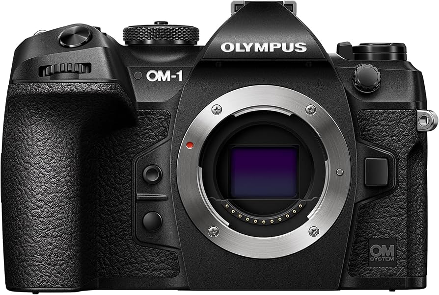 Amazon.com : Olympus OM System OM-1 Camera Body, Black (Renewed