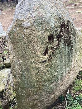 Amazon.co.jp: 巨大庭石 国産石 鑑賞石 庭 坪庭 ガーデニング 置物