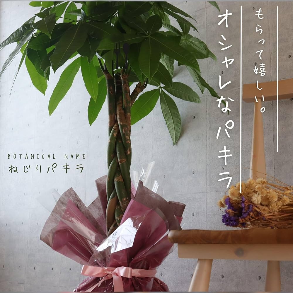 81F7eIIMcFL._AC_UF1000,