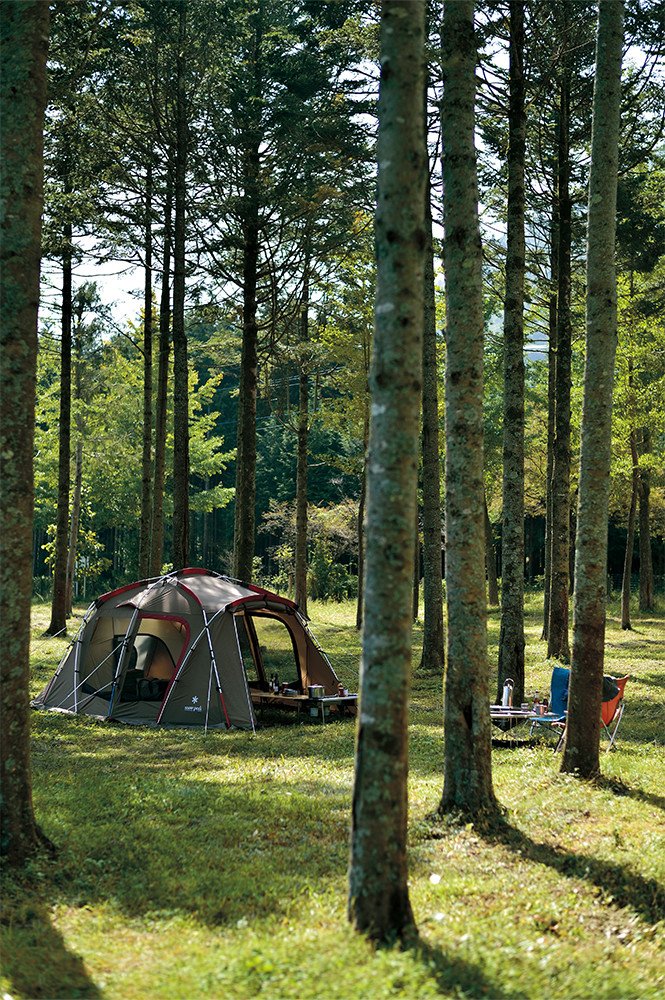 Amazon.co.jp: スノーピーク(snow peak) テント タシーク TP-640 [3人