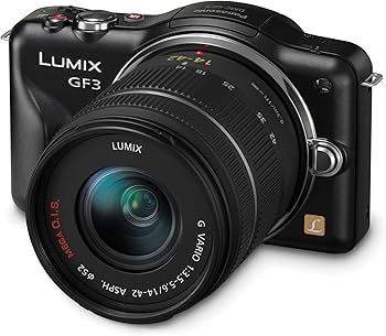 Amazon.com : Panasonic DMC-GF3 12.1 Mirrorless Camera with 14-42mm