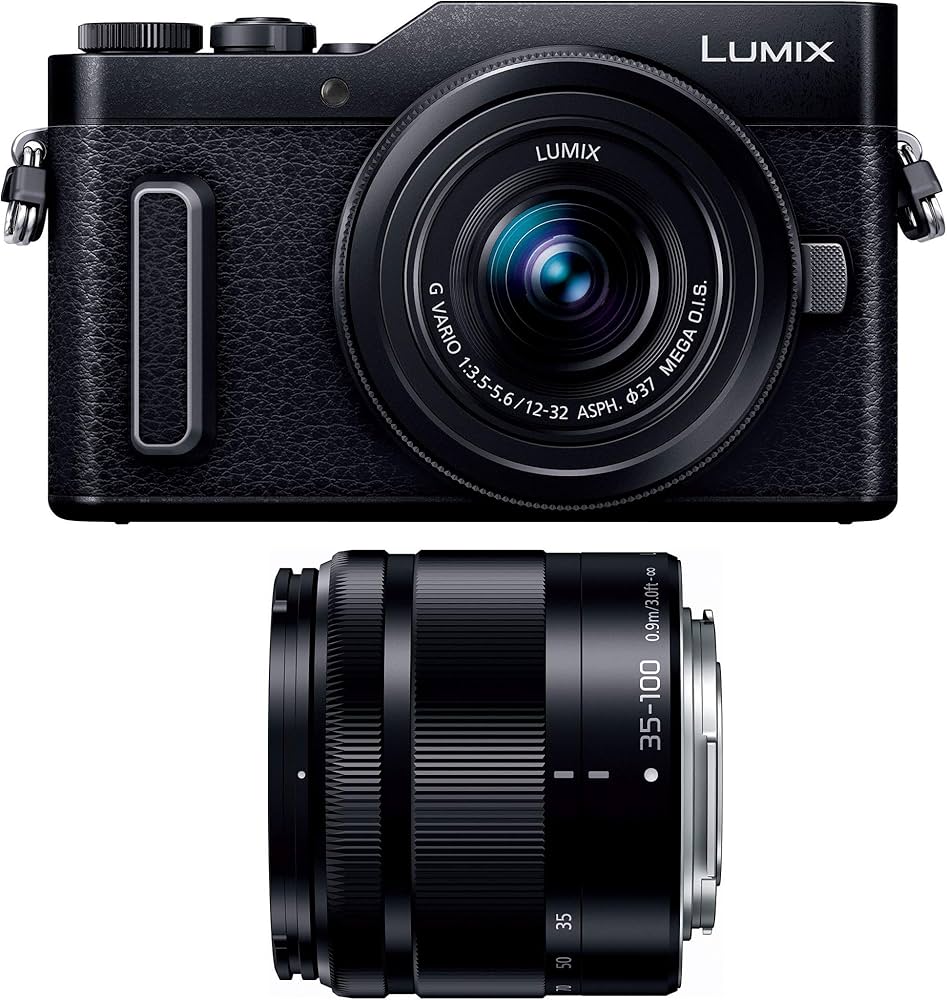 Amazon.co.jp: Panasonic Lumix GF10 Mirrorless SLR Camera Double