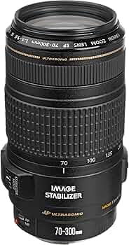Amazon.com : Canon EF 70-300mm f/4-5.6 is USM Lens for Canon EOS