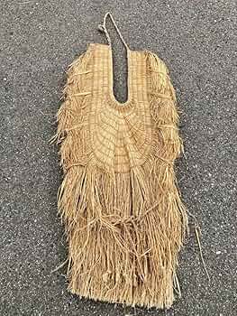 81HMhI0GAgL._AC_UF350,