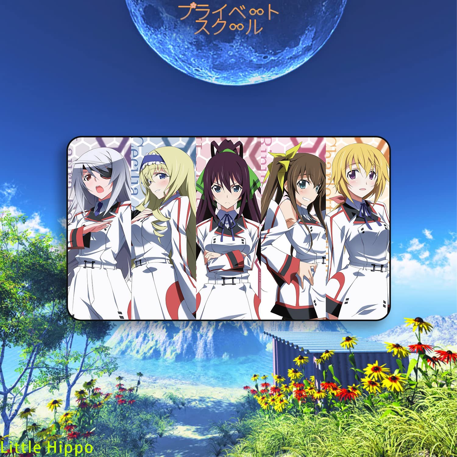 Amazon | プライベートスクール IS〈インフィニット?ストラトス〉 IS