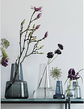 Amazon.co.jp: ホルムガード フローラベース 24cm スモーク : ホーム