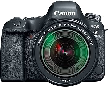 Amazon.com : Canon EOS 6D Mark II with EF 24-105mm IS STM Lens