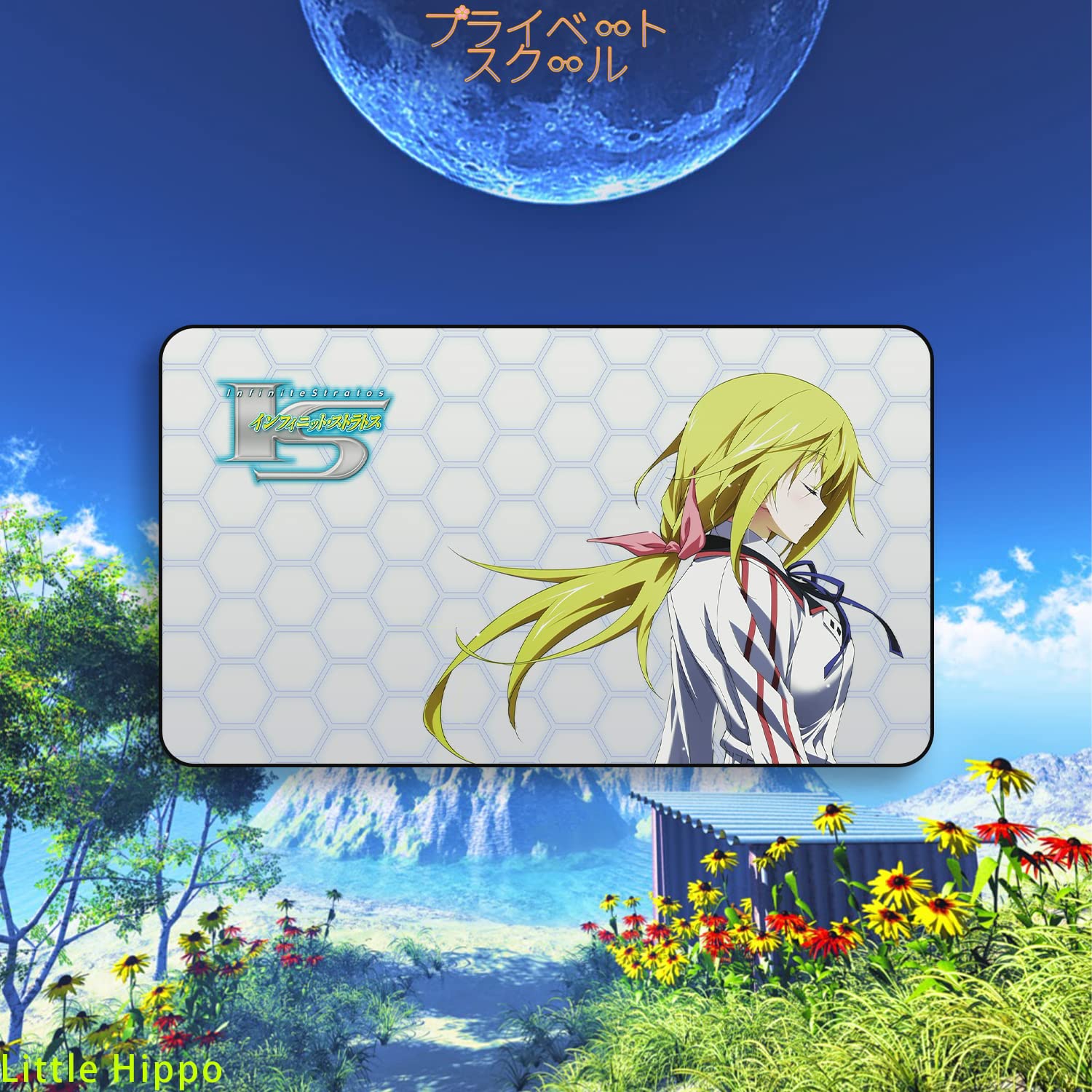 Amazon | プライベートスクール IS〈インフィニット?ストラトス〉 IS