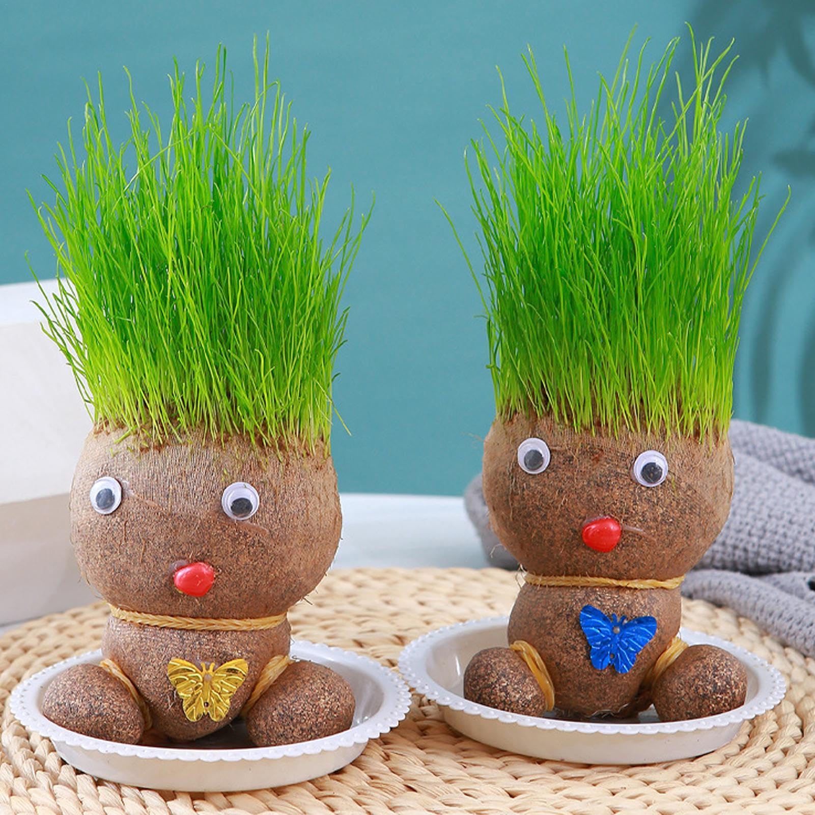 Amazon.co.jp: 卓上用ミニ盆栽ポットトレイ - グラスヘッドの髪が