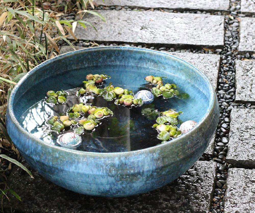 Amazon.co.jp: まるいち本店 信楽焼 20号青ビードロ水鉢 睡蓮鉢 メダカ