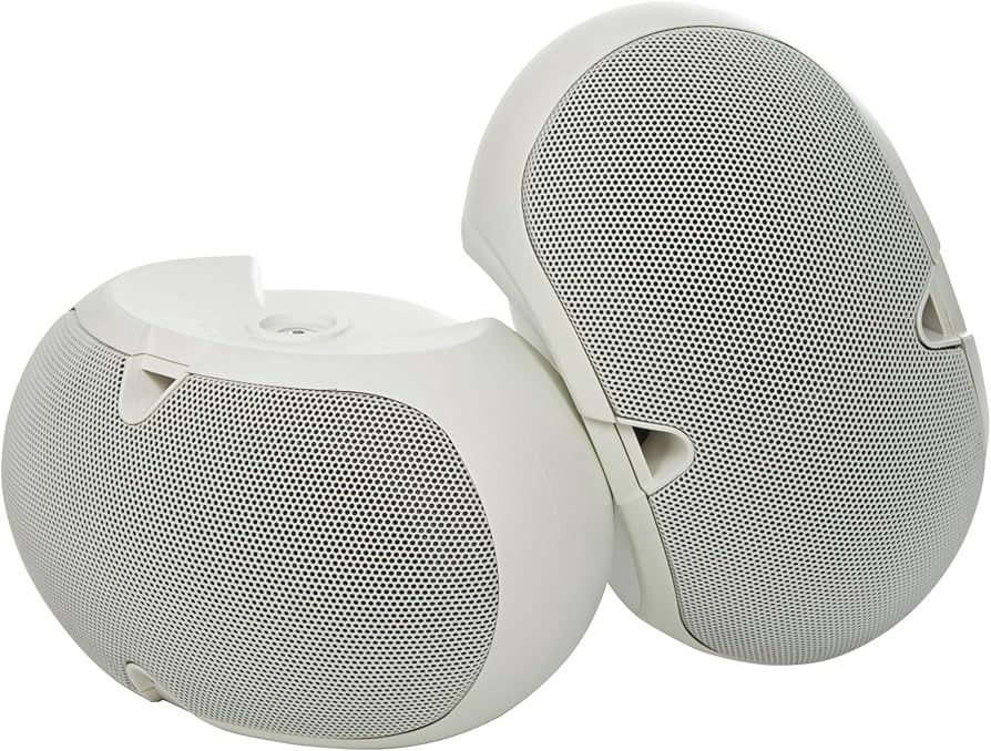 Amazon.com: Electro-Voice EVID 4.2 Dual 4