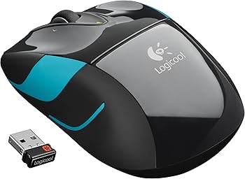 81JsVp8UIcL._AC_UF350,