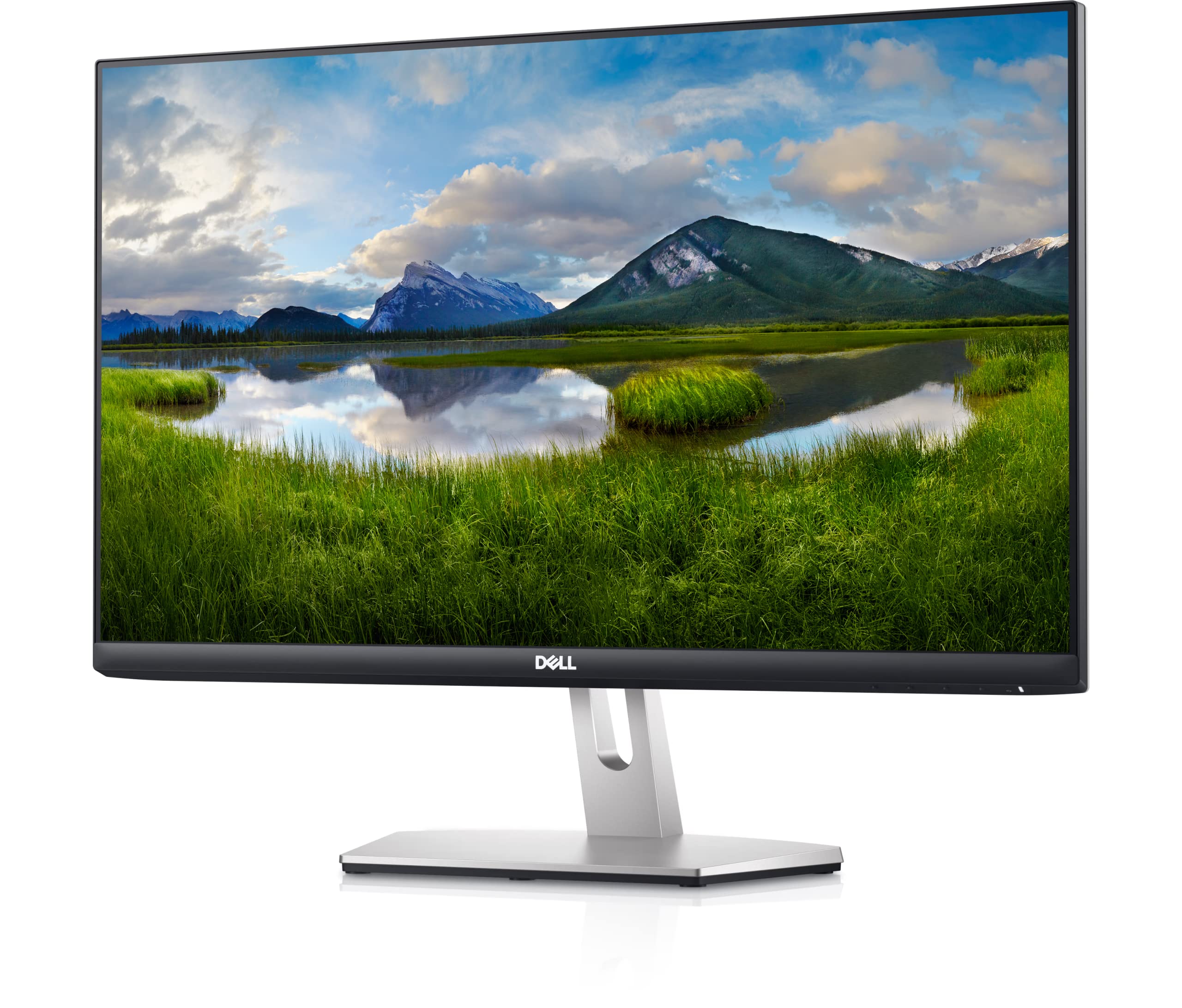 Amazon.com: Dell S2421HN 24 Inch Full HD 1080p (1920 x 1080) 75Hz