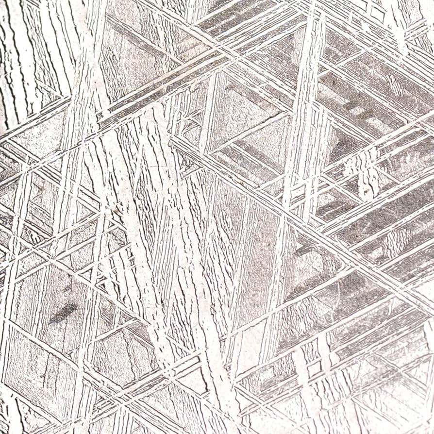 Amazon.co.jp: SCIENCE 鉄隕石『ムオニオナルスタ隕石 ウィドマンシュ