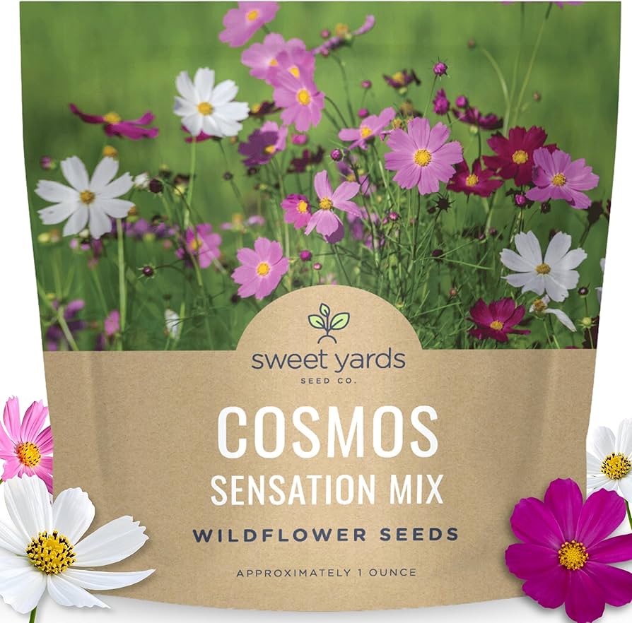 Amazon.com: Cosmos Sensation Mix - Large 1 Ounce Packet - 4,000