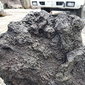 Amazon.co.jp: 富士 溶岩石 48キロ 庭石 鑑賞石 石 庭 ガーデニング