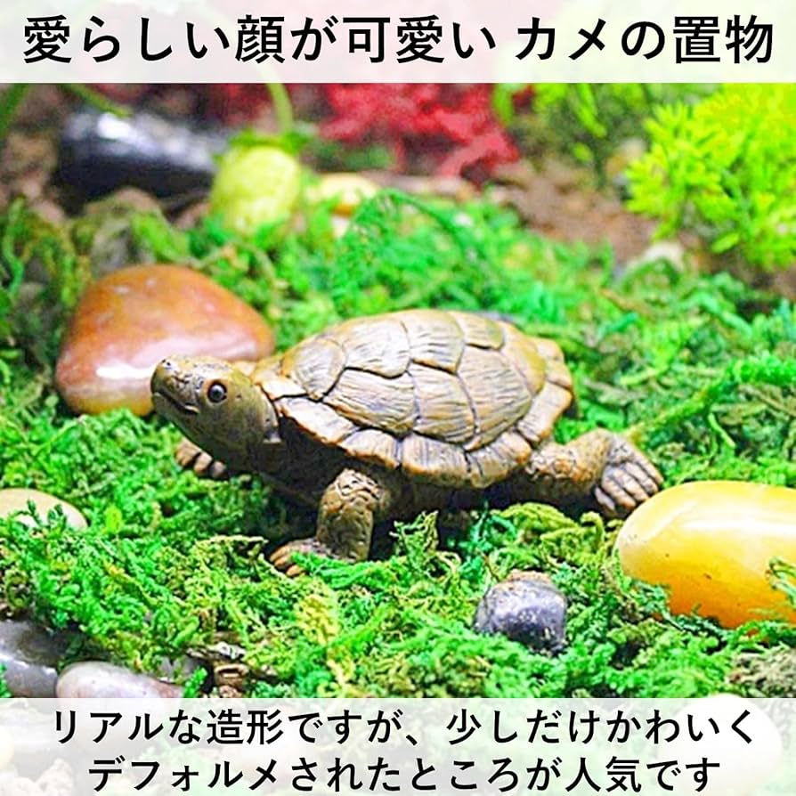 Amazon.co.jp: heizi 亀 カメ 置物 2個セット 庭 陶器 ガーデン