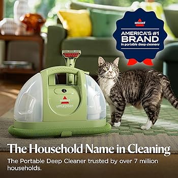 81MfoyqdTxL._AC_UF350,