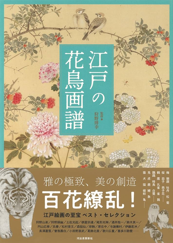 81N+2ExxxtL._AC_UF1000,