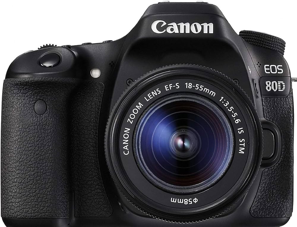 Buy Canon EOS 80D 24.2MP Digital SLR Camera (Black) + EF-S 18-55mm