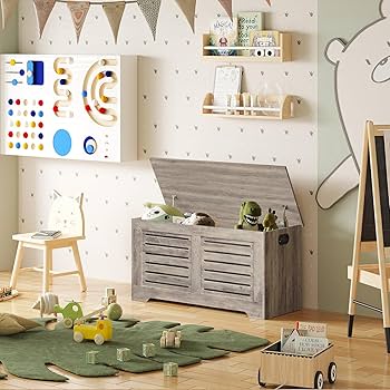 Amazon.com: DINZI LVJ Storage Chest, Flip-Top Wooden Toy Box with