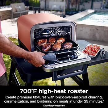 Amazon.com: Ninja Woodfire Outdoor Pizza Oven, 8-in-1 Portable