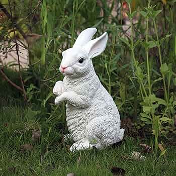 81OHA1yVSIL._AC_UF350,