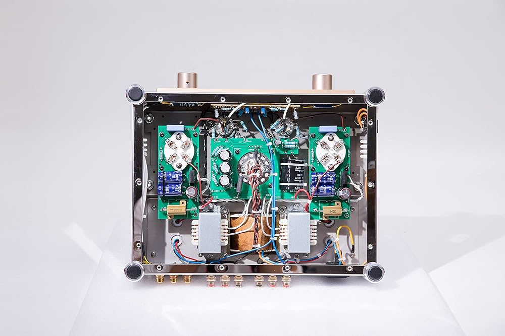 Amazon.com: BoyuuRange REISONG A50 MKIII 300B HiFi Intergrated